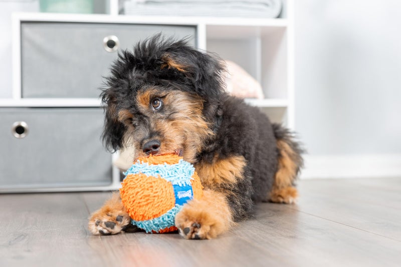 Chuckit! Indoor Fetch Ball Dog Toy for Dogs - Interactive Dog Toys for Boredom, 4.75 Inch, Orange and Blue - Image 2